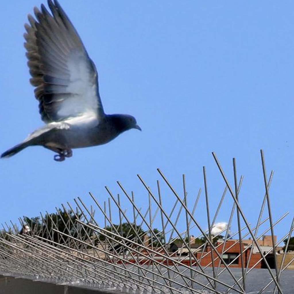 شركة مكافحة حمام بالطائف