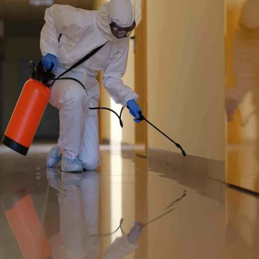 شركة مكافحة حشرات بالخبر